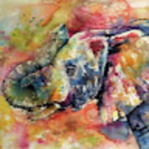 Meet your Posher, Ruby